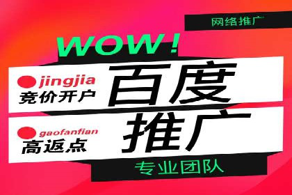 案例分析：百度竞价推广运营如何助力企业实现品牌突破